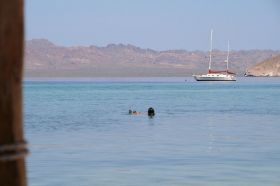 El burro bei Mulege (51) (1).JPG