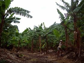 Nicaragua Isla Ometepe Ingrids Kamera (3).JPG